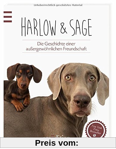Harlow & Sage: Die Geschichte einer außergewöhnlichen Freundschaft